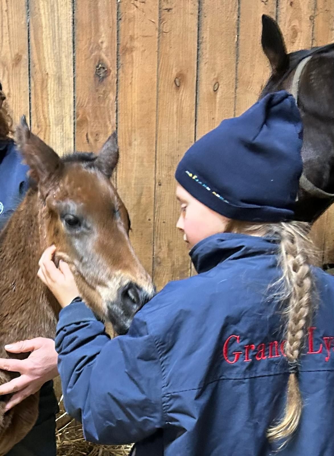 Hands-on horse care at Grand Lys
