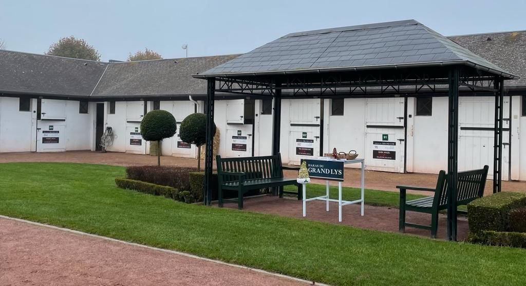 Haras du Grand Lys presenting as an ARQANA consignor, with sale boards and lot numbers